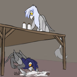 Size: 2200x2188 | Tagged: safe, artist:somber, oc, griffon, behaving like a cat, duo, griffon oc, griffons doing cat things, high res