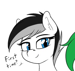 Size: 934x892 | Tagged: safe, artist:seafooddinner, oc, oc only, oc:ablpone, oc:astrapone, earth pony, pony, abl, astra, bust, dialogue, ear fluff, earth pony oc, female, mare, simple background, talking, white background