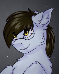 Size: 2000x2500 | Tagged: safe, artist:snowstormbat, oc, oc only, pony, bust, cheek fluff, chest fluff, cute, ear fluff, fluffy, glasses, gradient background, high res, portrait, smiling, solo