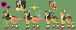 Size: 1280x509 | Tagged: safe, artist:malinraf1615, a.k. yearling, daring do, quibble pants, earth pony, pegasus, pony, g4, alternate design, cheek feathers, chest fluff, colored belly, deviantart watermark, feathered fetlocks, female, green background, male, mare, obtrusive watermark, pale belly, reference sheet, scar, screencap reference, ship:daringpants, shipping, simple background, slender, stallion, straight, thin, watermark