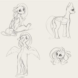 Size: 4000x4000 | Tagged: safe, artist:miokomata, fluttershy, pegasus, pony, g4, absurd resolution, bipedal, bipedal leaning, butt, cute, female, floppy ears, flutterbutt, freckles, freckleshy, grayscale, leaning, looking at you, looking back, looking back at you, mare, monochrome, plot, shyabetes, simple background, sitting, sketch, solo, white background