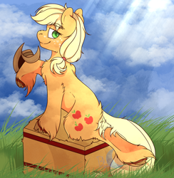 Size: 2048x2098 | Tagged: safe, artist:bluemoon, applejack, earth pony, pony, g4, applejack's hat, chest fluff, cloud, cowboy hat, female, field, freckles, grass, hat, hay bale, high res, looking back, mare, smiling, solo, unshorn fetlocks
