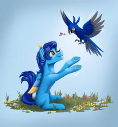 Size: 3501x3768 | Tagged: safe, artist:helmie-art, oc, oc:helmie, bird, parrot, pegasus, pony, blue, colored belly, colored wings, ear fluff, flower, frog (hoof), gradient background, grass, heart, high res, hoof fluff, hoofbutt, multicolored wings, pale belly, pegasus oc, sitting, slender, sternocleidomastoid, thin, underhoof, wings