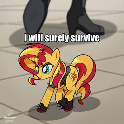 Size: 4500x4500 | Tagged: safe, alternate version, artist:theratedrshimmer, sunset shimmer, pony, unicorn, equestria girls, absurd resolution, cute, female, human sunset, implied sunset shimmer, meme, ponified, ponified animal photo, ponified meme, scrunchy face, self paradox, self ponidox, shimmerbetes, tiny, tiny ponies