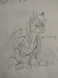 Size: 3120x4160 | Tagged: safe, artist:cackling-beast, derpibooru exclusive, oc, oc only, pegasus, pony, pegasus oc, sitting, sketch, solo, text, traditional art, wall eyed