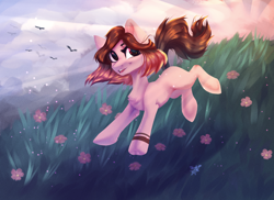 Size: 2200x1600 | Tagged: safe, artist:jsunlight, oc, bird, earth pony, pony, chest fluff, earth pony oc, flower, grass, lightly watermarked, meadow, scenery, signature, slender, solo, thin, watermark