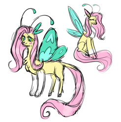 Size: 540x549 | Tagged: safe, artist:yubov, fluttershy, draconequus, g4, blushing, draconequified, flutterequus, simple background, sketch, smiling, solo, species swap, white background, wings