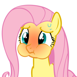 Size: 1280x1280 | Tagged: safe, fluttershy, pegasus, pony, g4, stare master, blushing, female, holding breath, puffy cheeks, red face, simple background, solo, sweat, white background