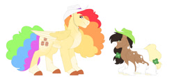 Size: 1280x569 | Tagged: safe, artist:itstechtock, oc, oc only, oc:cloverleaf, oc:freight train, earth pony, pegasus, pony, earth pony oc, female, filly, foal, hat, male, mare, parent:rainbow blaze, parent:record high, pegasus oc, simple background, stallion, white background