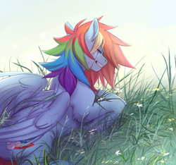 Size: 2653x2488 | Tagged: safe, artist:1an1, rainbow dash, pegasus, pony, g4, backwards cutie mark, crying, cutie mark, emotional, emotions, eyes closed, female, grass, high res, imminent crying, lying down, mixed emotions, mixed expressions, prone, smiling, solo, tears of joy, updated image