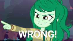 Size: 1803x1014 | Tagged: safe, edit, edited screencap, screencap, wallflower blush, human, equestria girls, equestria girls specials, g4, my little pony equestria girls: better together, my little pony equestria girls: forgotten friendship, angry, female, pointing, reaction image, solo, wrong