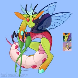 Size: 1500x1500 | Tagged: safe, artist:petaltheartist, discord, thorax, changedling, changeling, draconequus, g4, the summer sun setback, to where and back again, blue background, changeling king, commission, fusion, fusion:discord, fusion:thorax, king thorax, male, signature, simple background