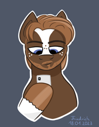 Size: 780x1000 | Tagged: safe, artist:friedrich911, oc, earth pony, pony, blue eyes, brown mane, earth pony oc, facial hair, male, phone, ponysona, solo, stallion