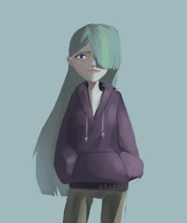 Size: 696x830 | Tagged: safe, artist:haku nichiya, marble pie, human, equestria girls, g4, clothes, female, hair over one eye, hand in pocket, hoodie, solo