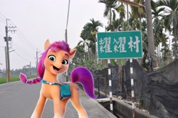 Size: 3553x2360 | Tagged: safe, sunny starscout, earth pony, pony, g5, chinese, high res, irl, photo, pingtung, ponies in real life, solo, taiwan, translated in the comments, translation request