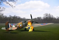 Size: 1580x1081 | Tagged: safe, spitfire, pegasus, pony, g4, clothes, drill sergeant, female, irl, mare, namesake, necktie, photo, plane, ponies in real life, pun, spitfire's tie, spitfire's whistle, sunglasses, supermarine spitfire, uniform, visual pun, whistle, whistle necklace, wonderbolts dress uniform