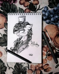 Size: 481x604 | Tagged: safe, artist:sparkingsnowflake, artist:wacky-skiff, oc, oc only, pony, solo, traditional art