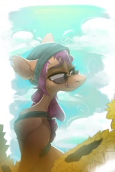Size: 1080x1612 | Tagged: safe, artist:wacky-skiff, sunny starscout, earth pony, pony, g5, beanie, female, glasses, hat, mare, solo