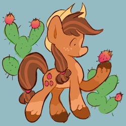 Size: 1024x1024 | Tagged: safe, artist:alexbeeza, oc, oc:prickle pear, earth pony, pony, blue background, cactus, coat markings, cowboy hat, earth pony oc, female, freckles, fruit, hat, hoof hold, looking at something, mare, nopal, prickly pear, simple background, socks (coat markings), solo, tuna fruit, unshorn fetlocks