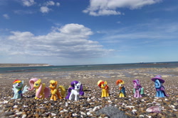 Size: 4608x3072 | Tagged: safe, artist:dingopatagonico, applejack, fluttershy, rainbow dash, rarity, starlight glimmer, sunburst, sunset shimmer, trixie, earth pony, pegasus, pony, unicorn, g4, argentina, beach, bmp-2, photo, toy