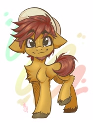Size: 1200x1600 | Tagged: safe, artist:falafeljake, oc, oc only, oc:comet thunder, earth pony, pony, abstract background, adorable face, chest fluff, commission, cute, earth pony oc, eyebrows, eyebrows visible through hair, facial hair, floppy ears, hat, looking at you, male, raised leg, simple background, slender, smiling, smiling at you, solo, standing, thin, unshorn fetlocks, white background