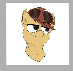 Size: 792x767 | Tagged: safe, artist:rapid9, oc, oc only, oc:comet thunder, earth pony, pony, aviator sunglasses, bust, commission, earth pony oc, grin, male, portrait, smiling, smug, solo, sunglasses, ych result