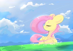 Size: 4093x2894 | Tagged: safe, artist:bubbletea, fluttershy, pegasus, pony, g4, eyes closed, female, folded wings, grass, high res, lying down, outdoors, prone, sky, smiling, solo, tail, turned head, windswept mane, windswept tail, wings