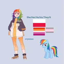 Size: 2048x2048 | Tagged: safe, artist:cryweas, rainbow dash, human, pegasus, pony, g4, alternate hairstyle, blue background, clothes, demigirl, demigirl pride flag, female, high res, humanized, jacket, leggings, lesbian pride flag, mare, poland, pride, pride flag, pronouns, reference sheet, shoes, simple background, sneakers, solo, sweater