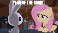 Size: 520x293 | Tagged: safe, edit, edited screencap, editor:quoterific, screencap, angel bunny, fluttershy, pegasus, pony, rabbit, g4, scare master, animal, animated, duo, duo male and female, evil grin, female, grin, lunar new year, male, mare, nervous, nervous smile, plotting, smiling, year of the rabbit