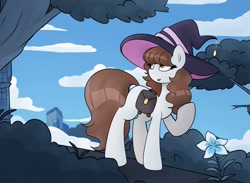 Size: 960x701 | Tagged: safe, artist:chaoticcr0w, oc, oc only, earth pony, pony, bag, brown mane, brown tail, cloud, commission, earth pony oc, flower, hat, saddle bag, solo, tail, white coat, witch hat
