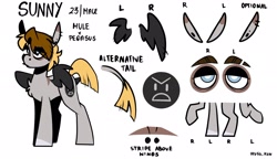 Size: 2048x1183 | Tagged: safe, artist:lrusu, oc, oc only, oc:sunny (lrusu), hybrid, mule, pegamule, pegasus, pony, bags under eyes, chest fluff, colored hooves, colored wings, ear piercing, earring, eye clipping through hair, eyebrow slit, eyebrows, hybrid oc, jewelry, leonine tail, long ears, piercing, reference sheet, simple background, solo, standing, tail, white background, wings