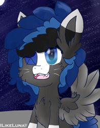 Size: 1000x1275 | Tagged: safe, artist:ilikeluna, oc, pony, art trade, fluffy, solo, whiskers