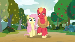 Size: 1920x1080 | Tagged: safe, edit, edited screencap, screencap, big macintosh, fluttershy, earth pony, pegasus, pony, g4, the perfect pear, apple, apple tree, character swap, duo, female, height difference, looking at each other, looking at someone, male, mare, pear tree, ship:fluttermac, shipping, smiling, smiling at each other, stallion, straight, summer, tree, walking