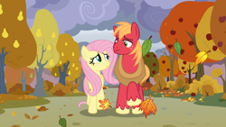 Size: 1920x1080 | Tagged: safe, edit, edited screencap, screencap, big macintosh, fluttershy, earth pony, pegasus, pony, g4, the perfect pear, apple, apple tree, autumn, blushing, character swap, duo, falling leaves, female, height difference, leaves, looking at you, male, mare, pear tree, ship:fluttermac, shipping, smiling, smiling at you, stallion, straight, tree, walking