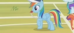 Size: 2400x1080 | Tagged: safe, screencap, lighthoof, rainbow dash, shimmy shake, earth pony, pegasus, pony, 2 4 6 greaaat, g4, blowing whistle, coach rainbow dash, coaching cap, cropped, cute, dashabetes, female, female focus, gym teacher, gym teacher rainbow dash, mare, puffy cheeks, rainblow dash, rainbow dashs coaching whistle, raised hoof, scrunchy face, solo focus, that pony sure does love whistles, whistle, whistle necklace, young mare
