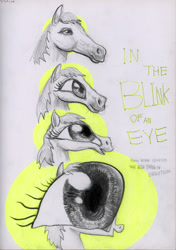Size: 2820x4000 | Tagged: safe, artist:ja0822ck, horse, pony, big eyes, eye scream, hoers, not salmon, rule 85, text, traditional art, wat, whiskers