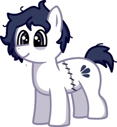 Size: 638x693 | Tagged: safe, artist:sagirihimoto, oc, oc only, oc:michel tusche, earth pony, pony, simple background, solo, stitches, white background