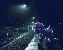Size: 3500x2800 | Tagged: safe, artist:shad0w-galaxy, oc, oc only, oc:shadow galaxy, pegasus, pony, crying, depressed, dripping, female, high res, hooves, irl, mare, night, photo, ponies in real life, rain, sad, solo, unshorn fetlocks, wet, wet mane, wings