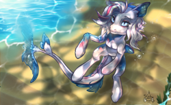 Size: 2600x1600 | Tagged: safe, artist:kirby_orange, oc, oc only, oc:colgate, merpony, pony, beautiful, blue eyes, blue tail, bubble, crepuscular rays, cute, digital art, ear fluff, fins, fish tail, flowing mane, flowing tail, glowing, glowing eyes, high res, lidded eyes, looking at you, looking up, male, ocean, sand, seaweed, signature, smiling, solo, stallion, sunlight, swimming, tail, underwater, water