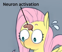 Size: 1298x1097 | Tagged: safe, artist:coffeetoffeeart, color edit, edit, fluttershy, pegasus, pony, g4, blushing, brain, colored, cropped, explicit source, female, mare, meme, neuron activation, organs, simple background, solo, sweat, sweatdrop, text