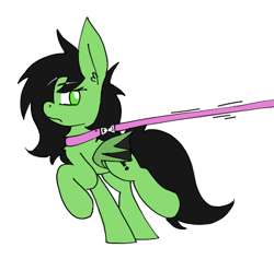 Size: 761x722 | Tagged: safe, artist:ponballoon, artist:ponny, oc, oc only, oc:anon-mare, oc:bats, bat pony, pony, collar, female, leash, pony pet, simple background, solo, white background