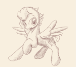 Size: 627x546 | Tagged: safe, artist:ricy, flash sentry, pegasus, pony, g4, flying, looking at you, male, monochrome, sketch, solo, spread wings, stallion, wings