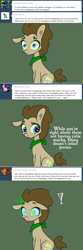 Size: 650x1954 | Tagged: safe, artist:toadstool-prancer, doctor whooves, time turner, oc, oc:tantamount, changeling, earth pony, pony, tantamount time turner, g4, blue eyes, changeling oc, disguise, disguised changeling, earth pony oc, eyes open, green sclera, male, male oc, pony oc, solo, stallion