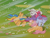 Size: 960x720 | Tagged: safe, screencap, posey, powder, skydancer, sparkler (g1), earth pony, pegasus, pony, unicorn, g1, my little pony 'n friends, my little pony: escape from catrina, blizzard, bow, female, group, mare, quartet, snow, snowfall, tail, tail bow, windswept mane