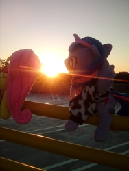 Size: 1200x1600 | Tagged: safe, artist:onlyfactory, fluttershy, twilight sparkle, alicorn, pegasus, pony, g4, bootleg, cowprint, crepuscular rays, duo, irl, parking lot, photo, plushie, sunset