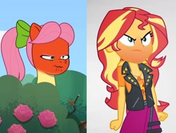 Size: 1440x1080 | Tagged: safe, edit, edited screencap, screencap, posey bloom, sunset shimmer, earth pony, human, pony, equestria girls, equestria girls specials, g4, g5, my little pony equestria girls: better together, my little pony equestria girls: rollercoaster of friendship, my little pony: tell your tale, secret ad-mare-er, spoiler:g5, spoiler:my little pony: tell your tale, spoiler:tyts01e44, angry, comparison, red face