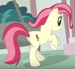 Size: 486x446 | Tagged: safe, screencap, roseluck, earth pony, pony, bridle gossip, g4, season 1, alternate hairstyle, animation error, background pony, butt, cropped, female, galloping, green eyes, mare, pink hair, pink mane, pink tail, plot, red hair, red mane, red tail, rosebutt, running, running away, solo, tail, tan coat, tan fur, tan pony, two toned hair, two toned mane, two toned tail