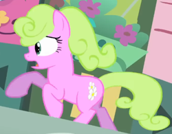 Size: 443x345 | Tagged: safe, screencap, daisy, flower wishes, earth pony, pony, bridle gossip, g4, season 1, animation error, background pony, cropped, female, flower shop, galloping, mare, panicking, running, solo, wrong eye shape