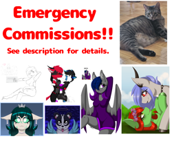Size: 2048x1671 | Tagged: safe, artist:melodytheartpony, oc, pony, advertisement, commission info, commissions open, emergency, furry, irl, irl cat, paypal, photo, vet bills