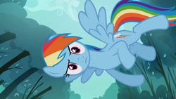 Size: 1920x1080 | Tagged: safe, screencap, rainbow dash, pegasus, pony, g4, sleepless in ponyville, 1080p, female, looking at you, mare, sideways image, solo